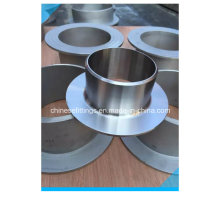 ANSI B16.9 Long Type Stainless Steel Flanged Stub End